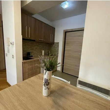 Ms Apartman Zlatibor