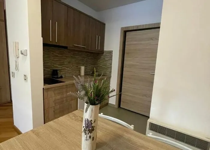 Ms 아파트 즐라티보